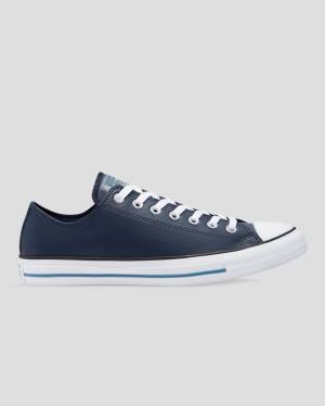 Converse Chuck Taylor All Star Summer Daze SL Low Tops Shoes Blue | CV-051KBP