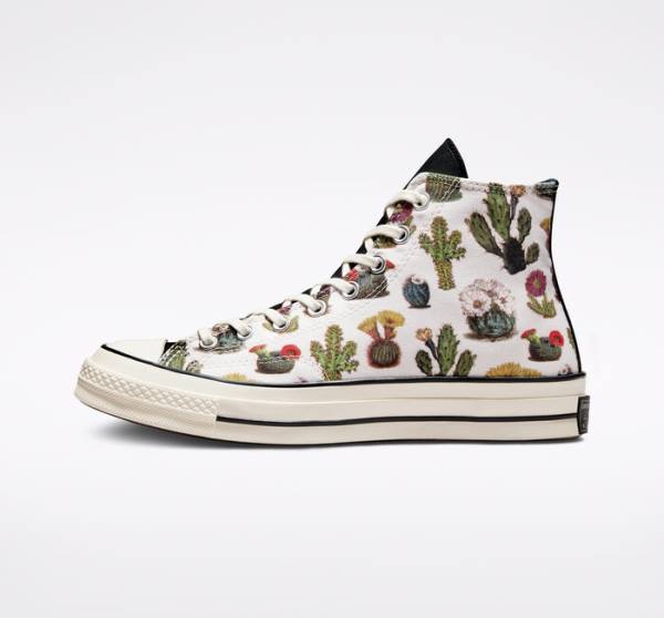 Converse Chuck 70 Succulents High Tops Shoes Black | CV-491KHT