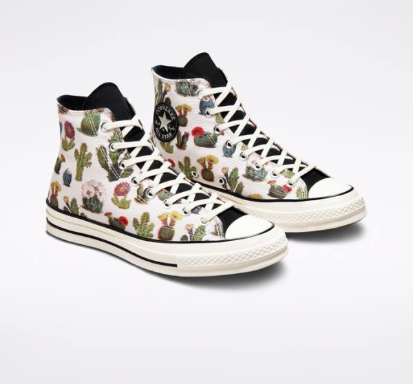 Converse Chuck 70 Succulents High Tops Shoes Black | CV-491KHT