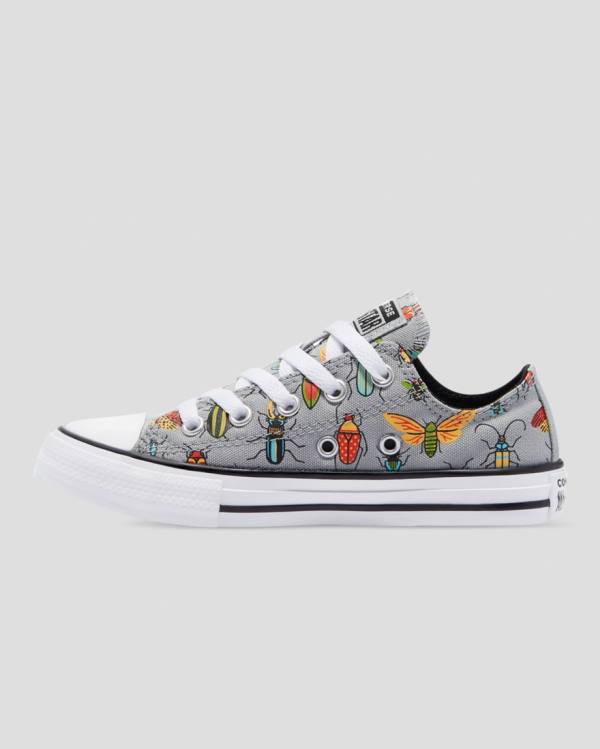 Converse Chuck Taylor All Star Bugged Out Low Tops Shoes Grey | CV-701ONU