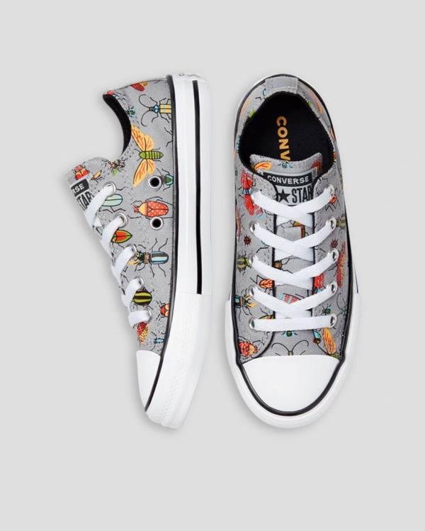 Converse Chuck Taylor All Star Bugged Out Low Tops Shoes Grey | CV-701ONU