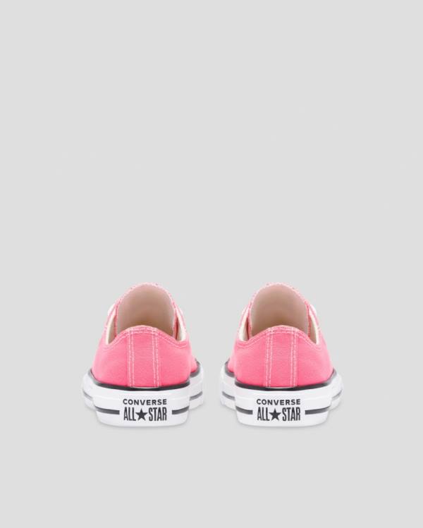 Converse Chuck Taylor All Star Seasonal Colour Low Tops Shoes Pink | CV-153XQW