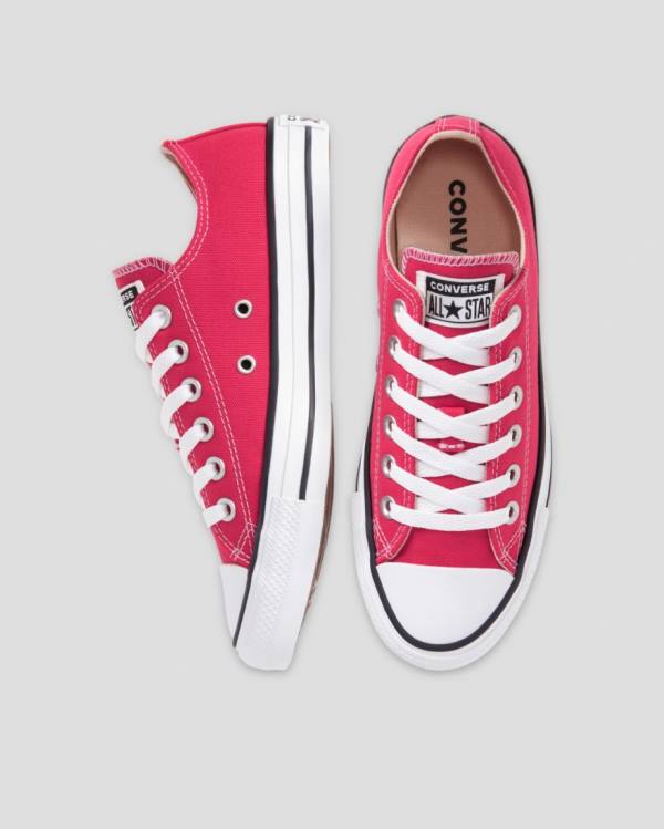 Converse Chuck Taylor All Star Seasonal Colour Low Tops Shoes Pink | CV-683PZY