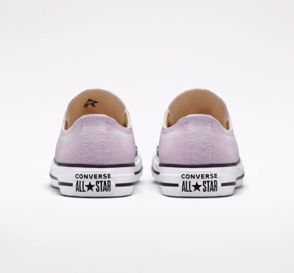 Converse Chuck Taylor All Star Seasonal Color Low Tops Shoes Lavender | CV-794UEB